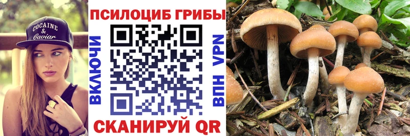 Галлюциногенные грибы MAGIC MUSHROOMS  Купить закладки  Зарайск 